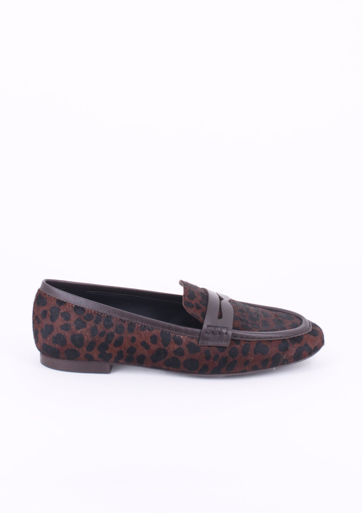 MAYA LEOPARDO