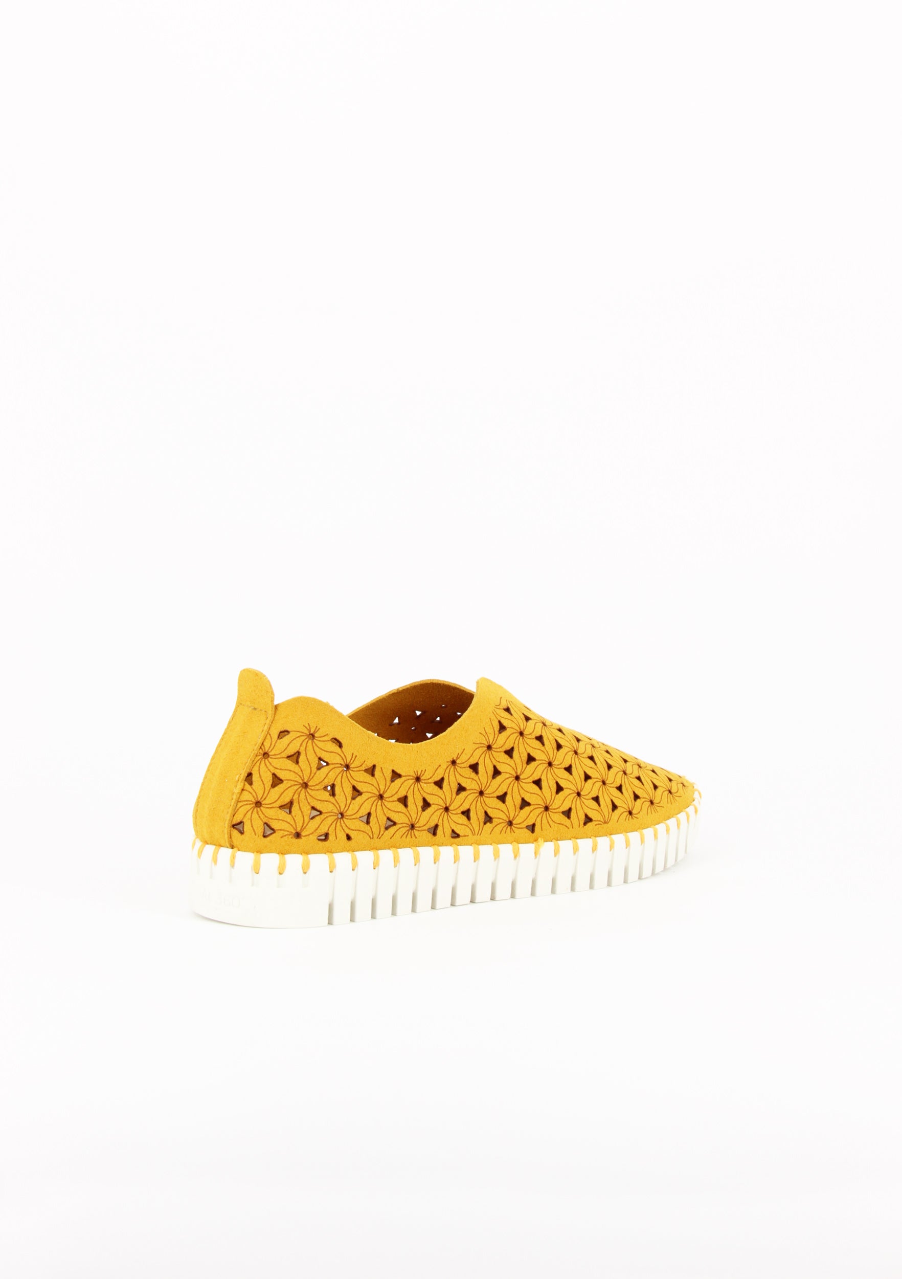 OSSO GIALLO