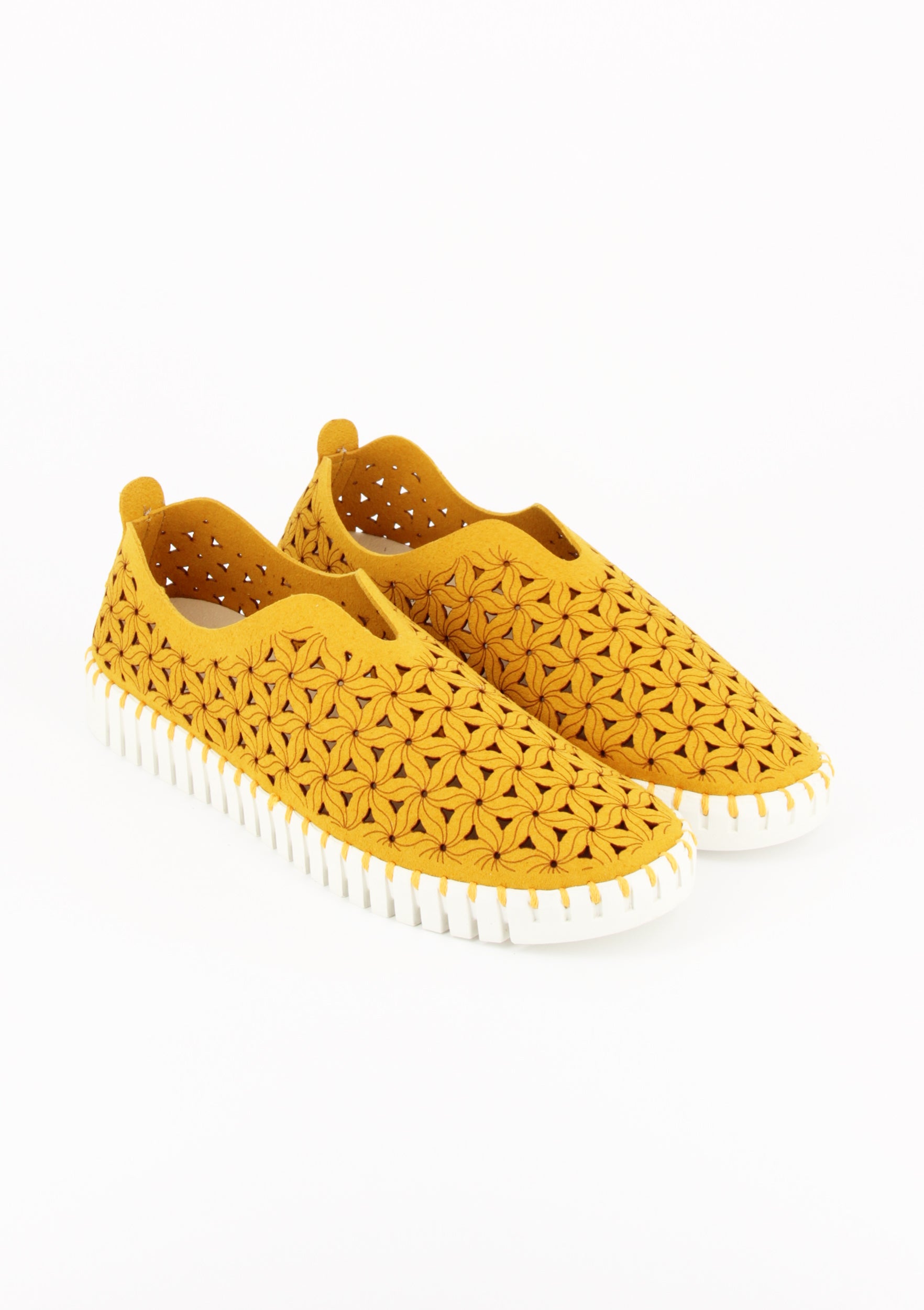 OSSO GIALLO