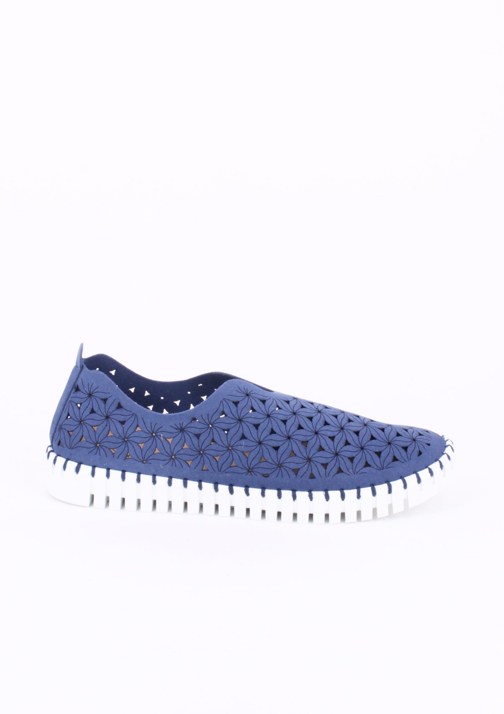 OSSO BLU
