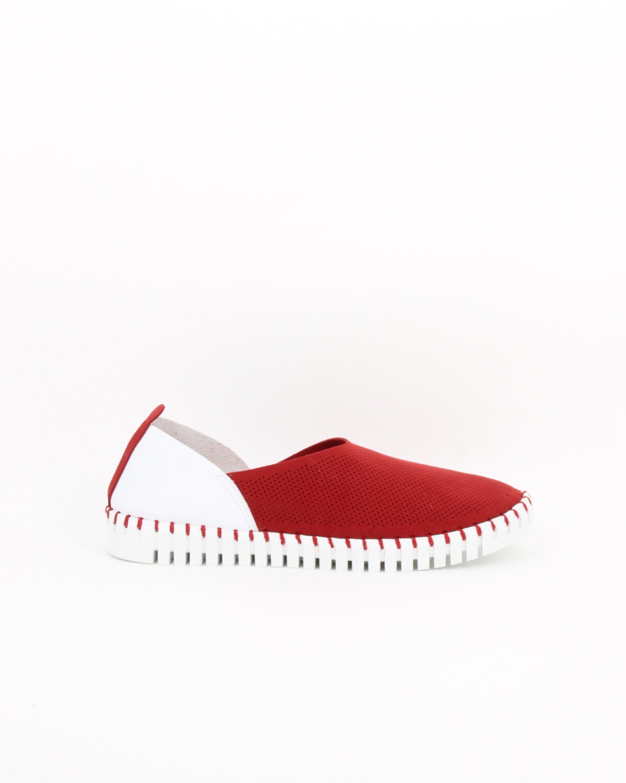 OTILLIA ROSSO-BIANCO