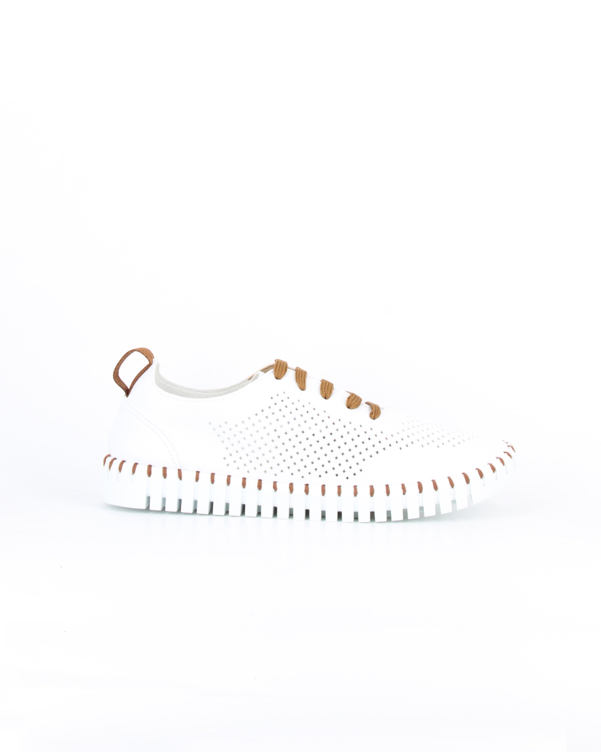 PEGGY BIANCO-CUOIO