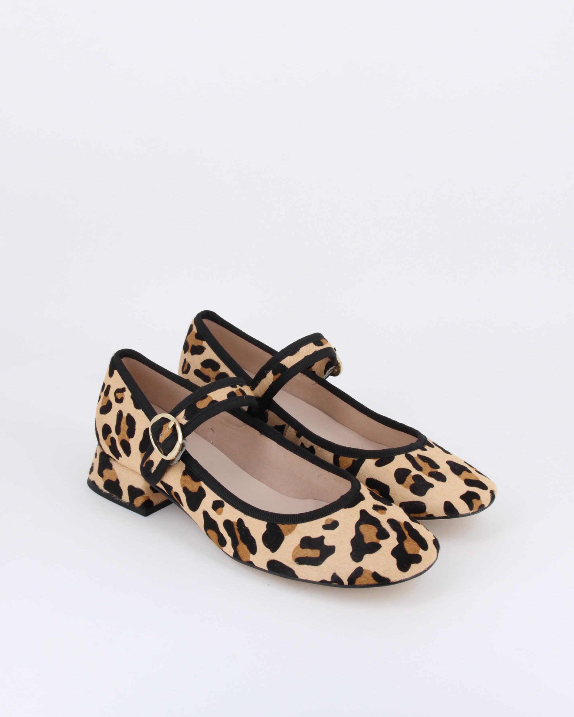 VIOLIN LEOPARDO