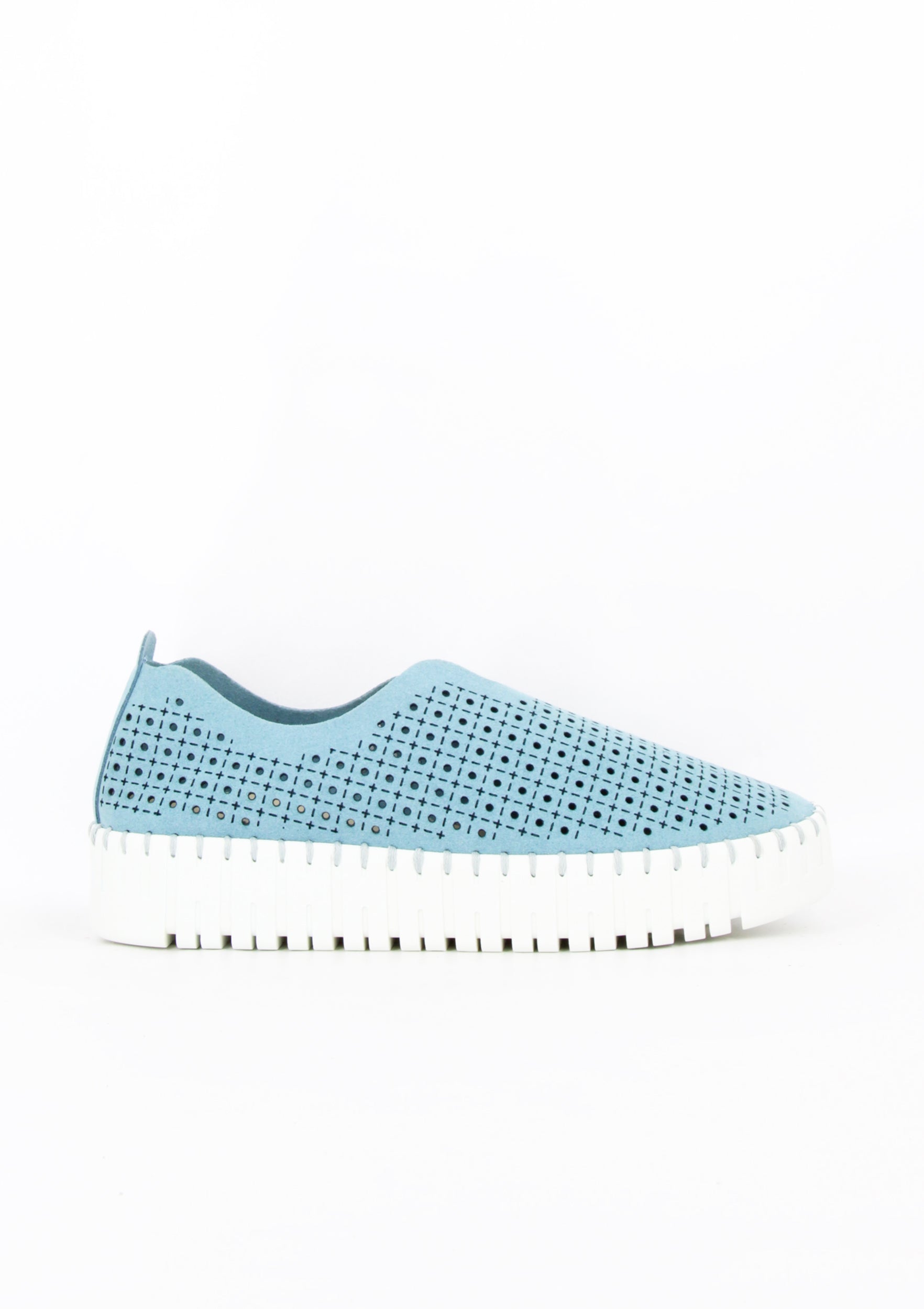 OWEN AZZURRO