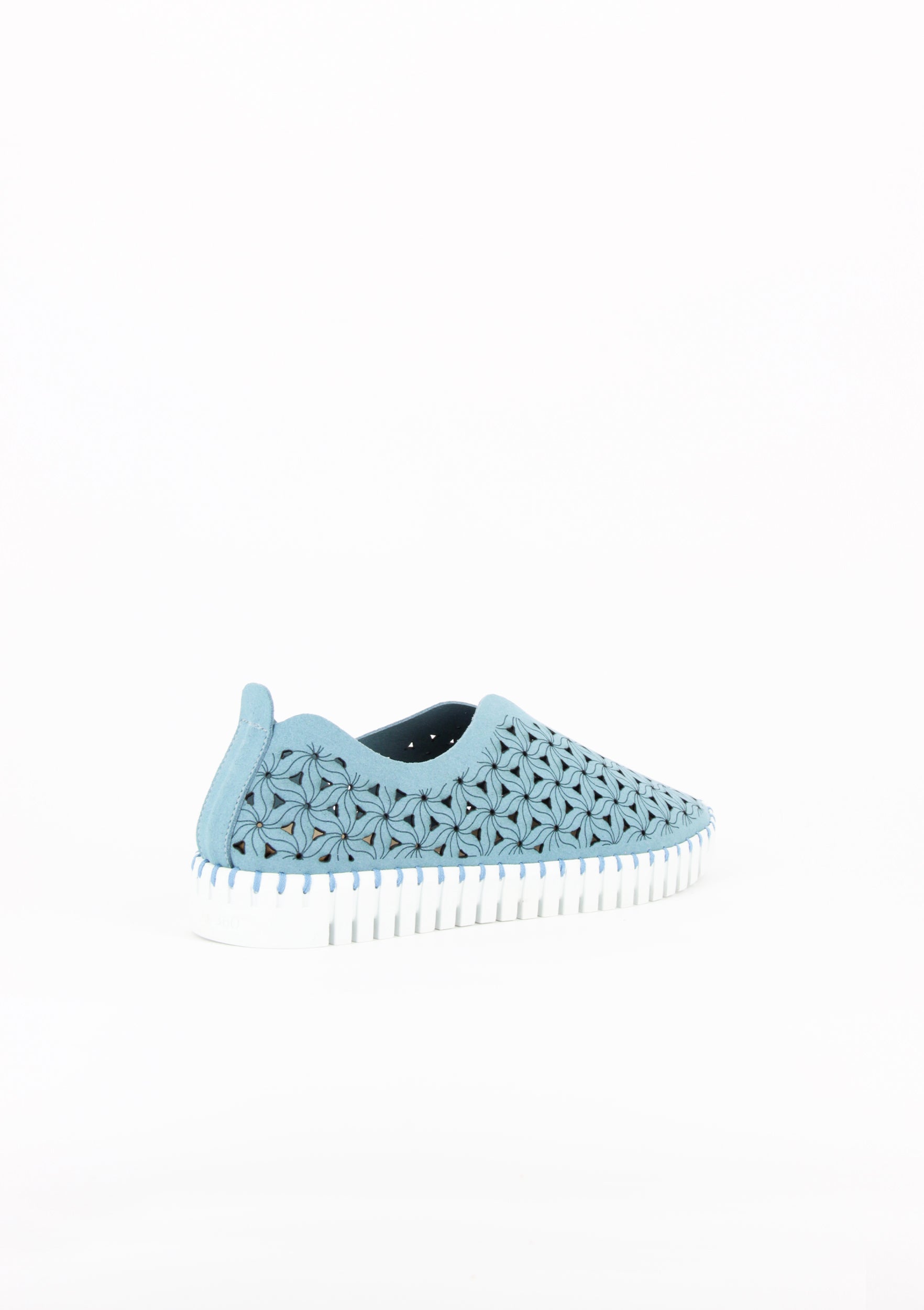 OSSO AZZURRO
