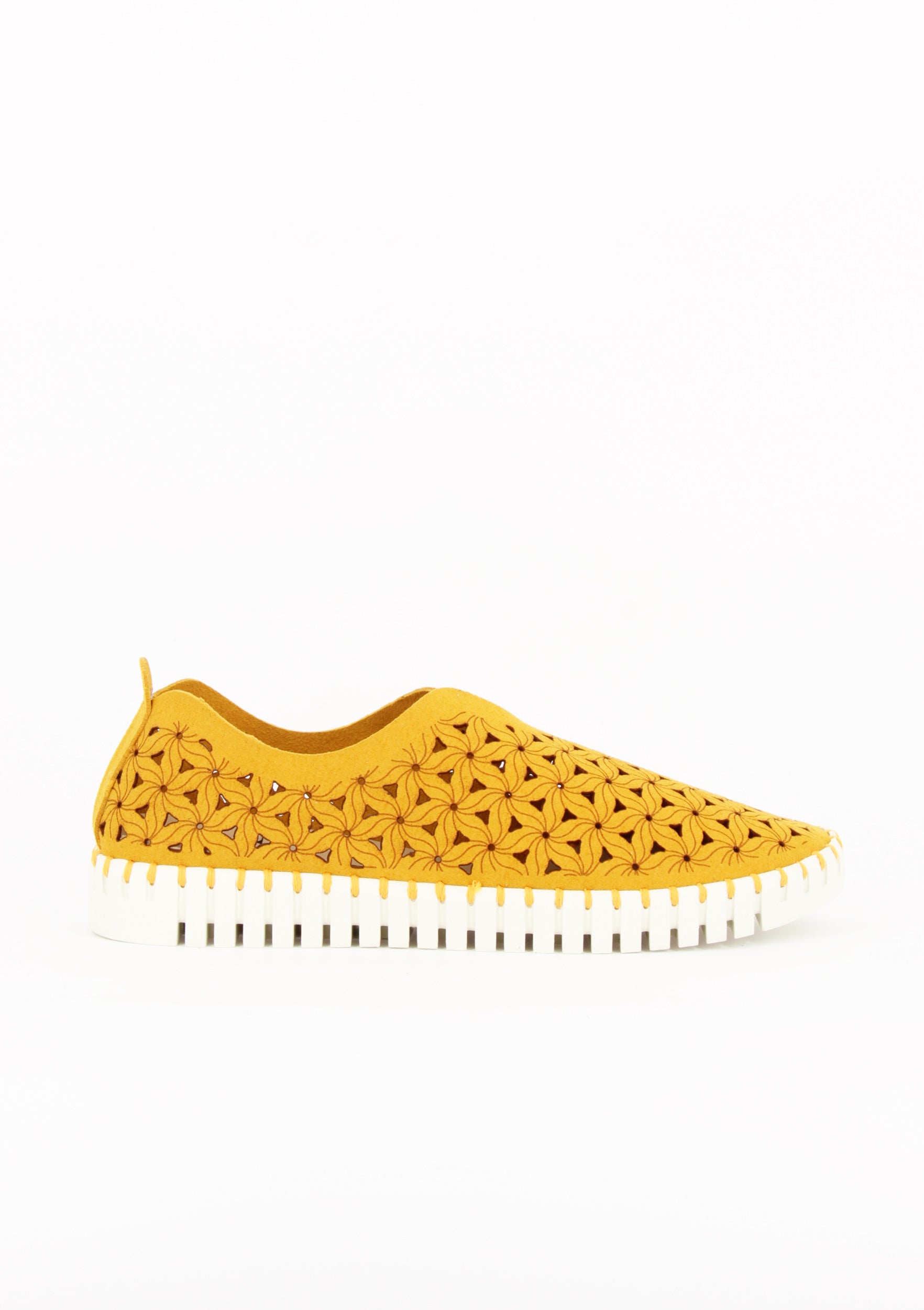 OSSO GIALLO