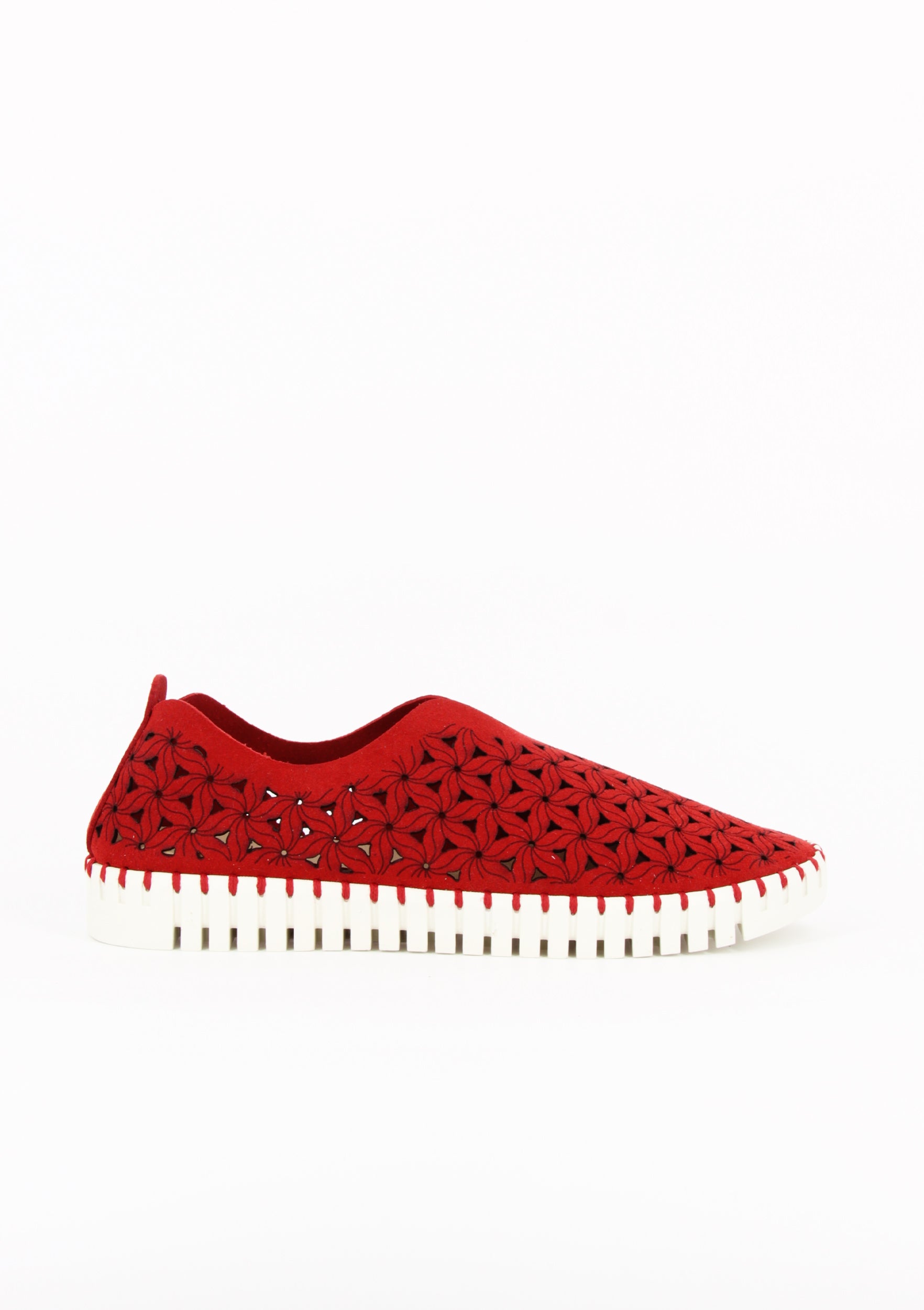 OSSO ROSSO