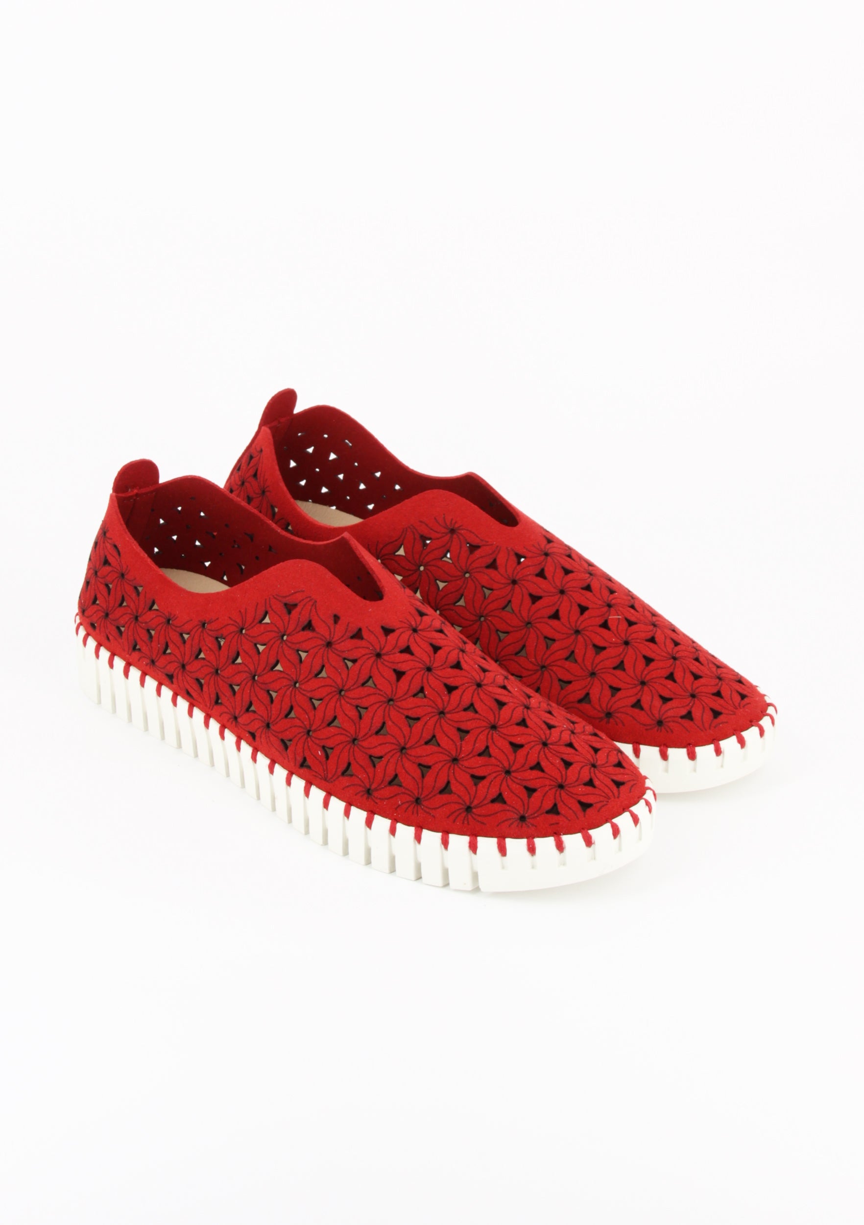 OSSO ROSSO