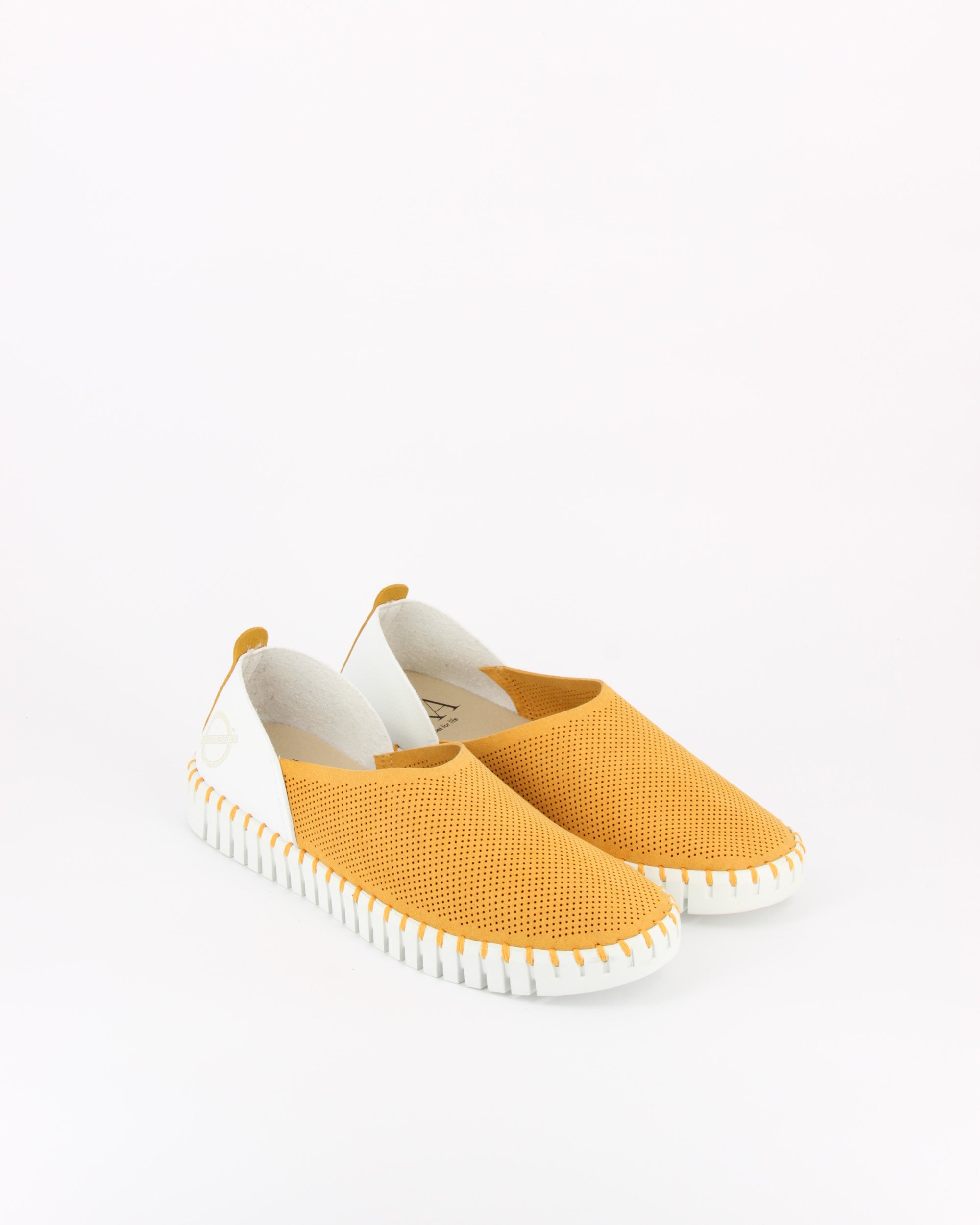 OTILLIA GIALLO-BIANCO