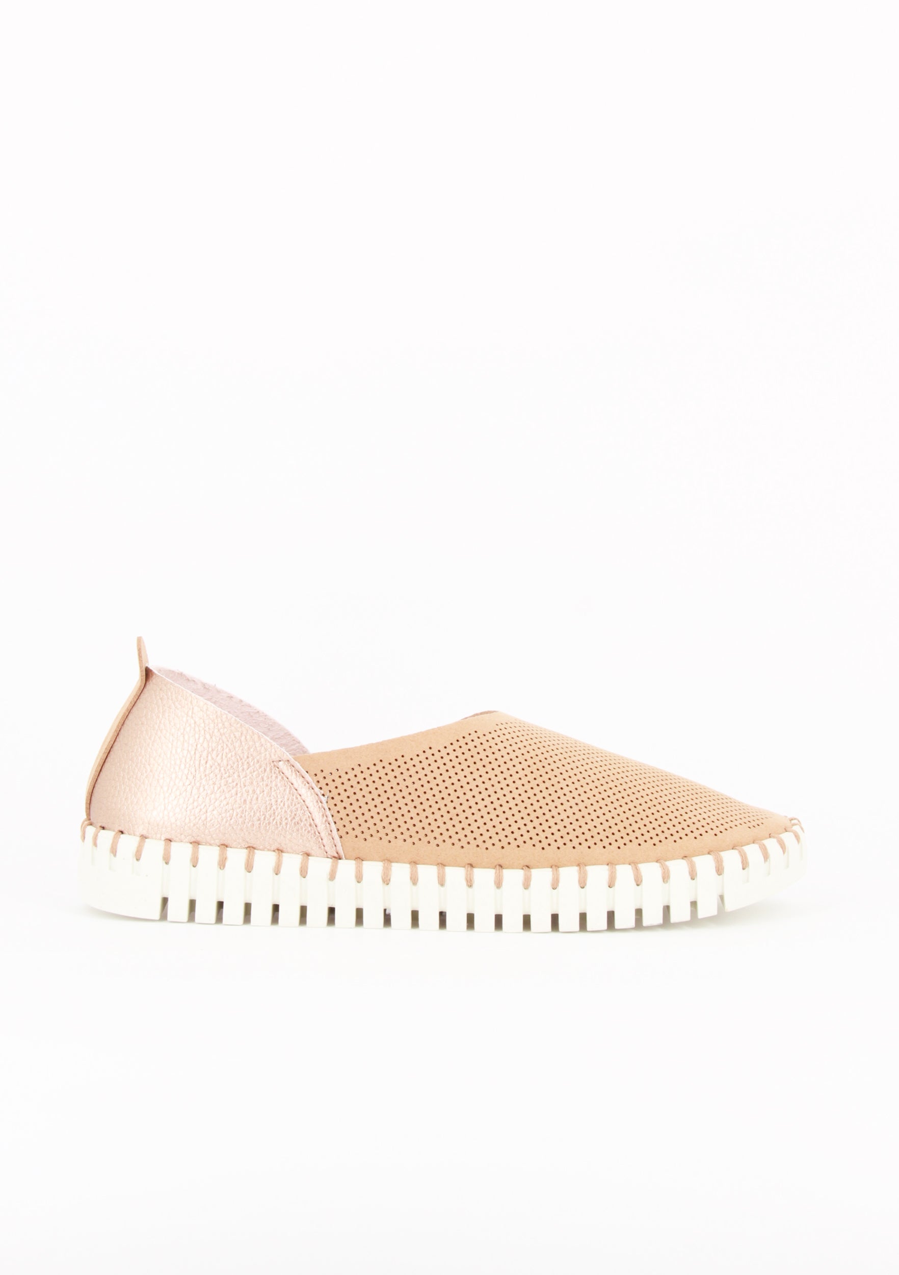 OTILLIA ROSA BABY-ROSA
