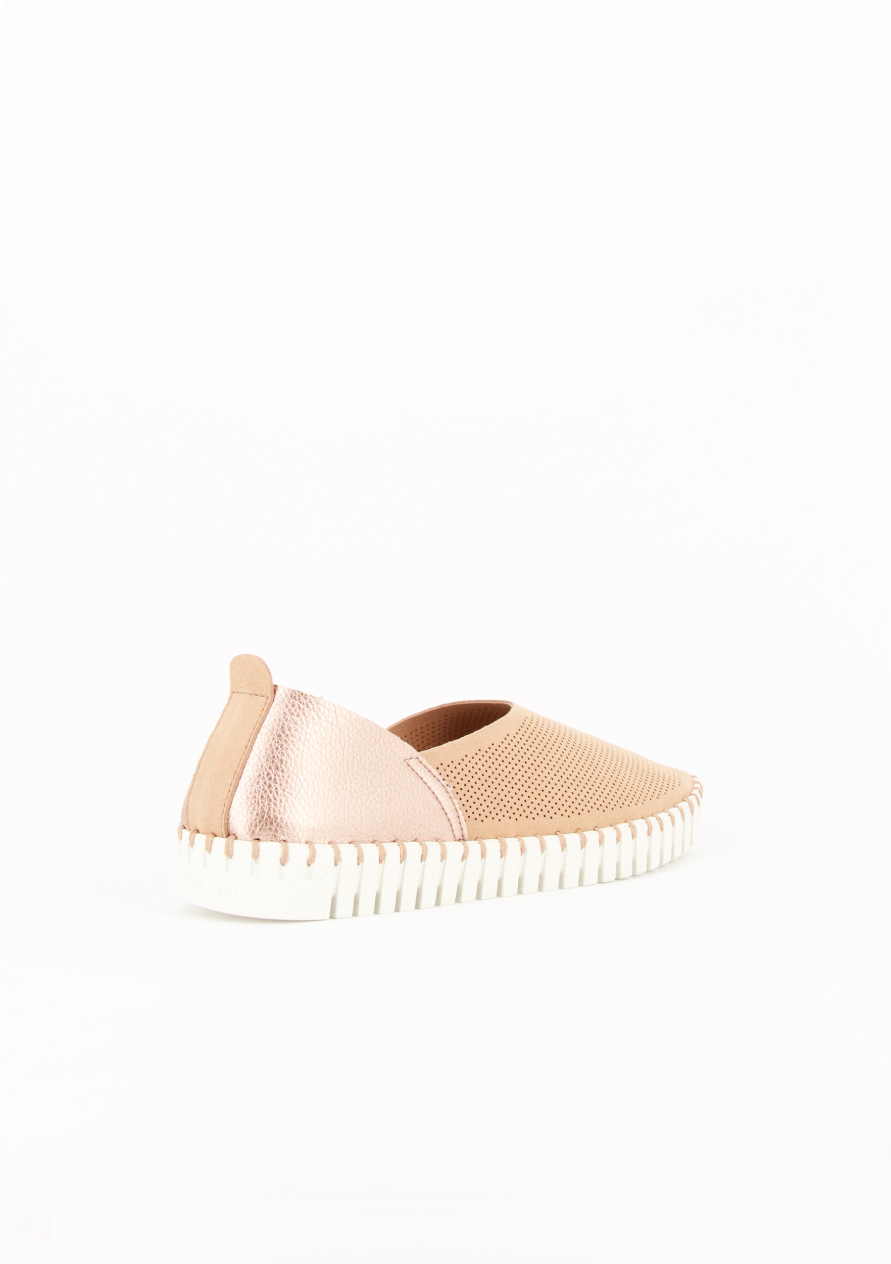 OTILLIA ROSA BABY-ROSA