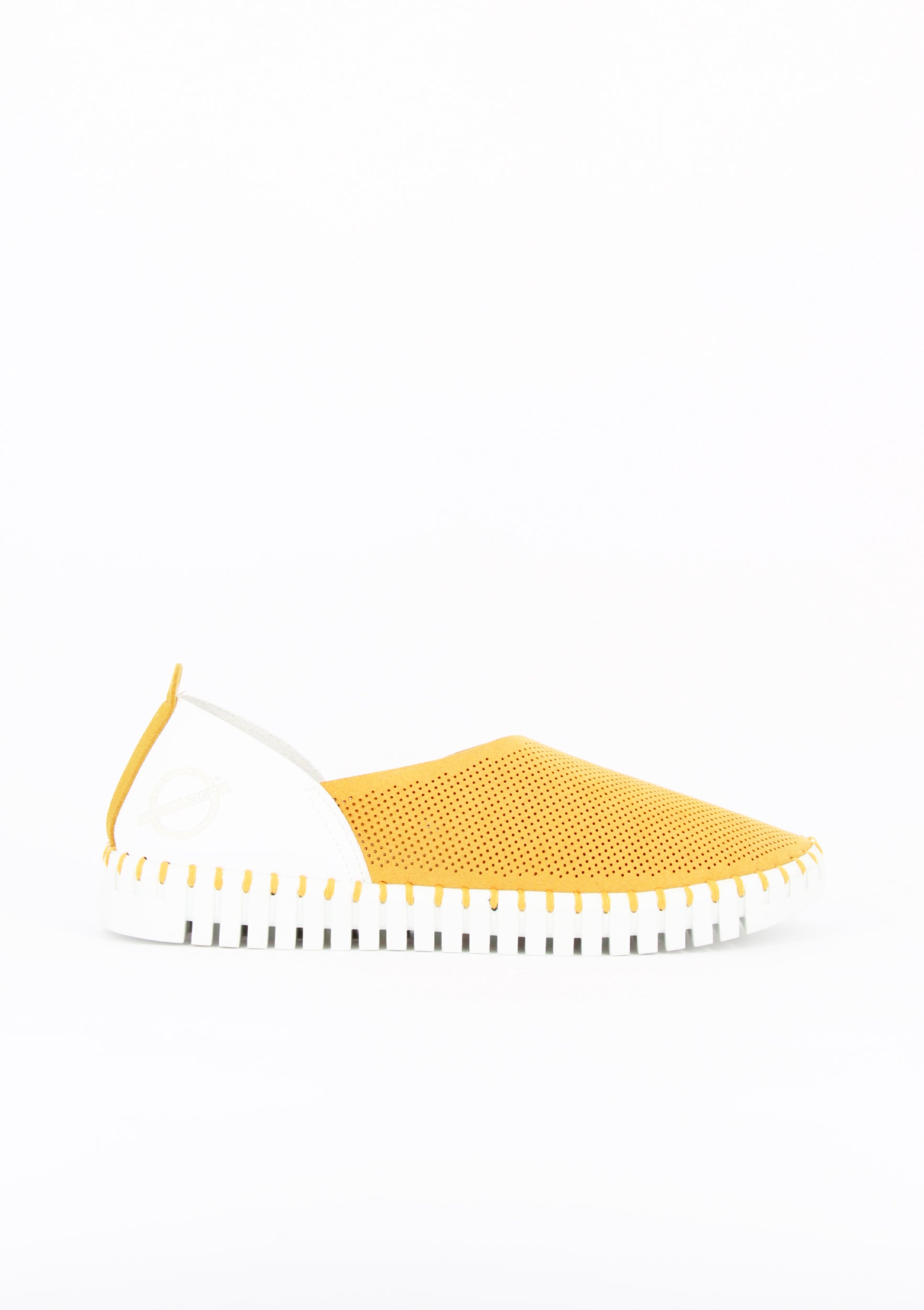 OTILLIA GIALLO-BIANCO