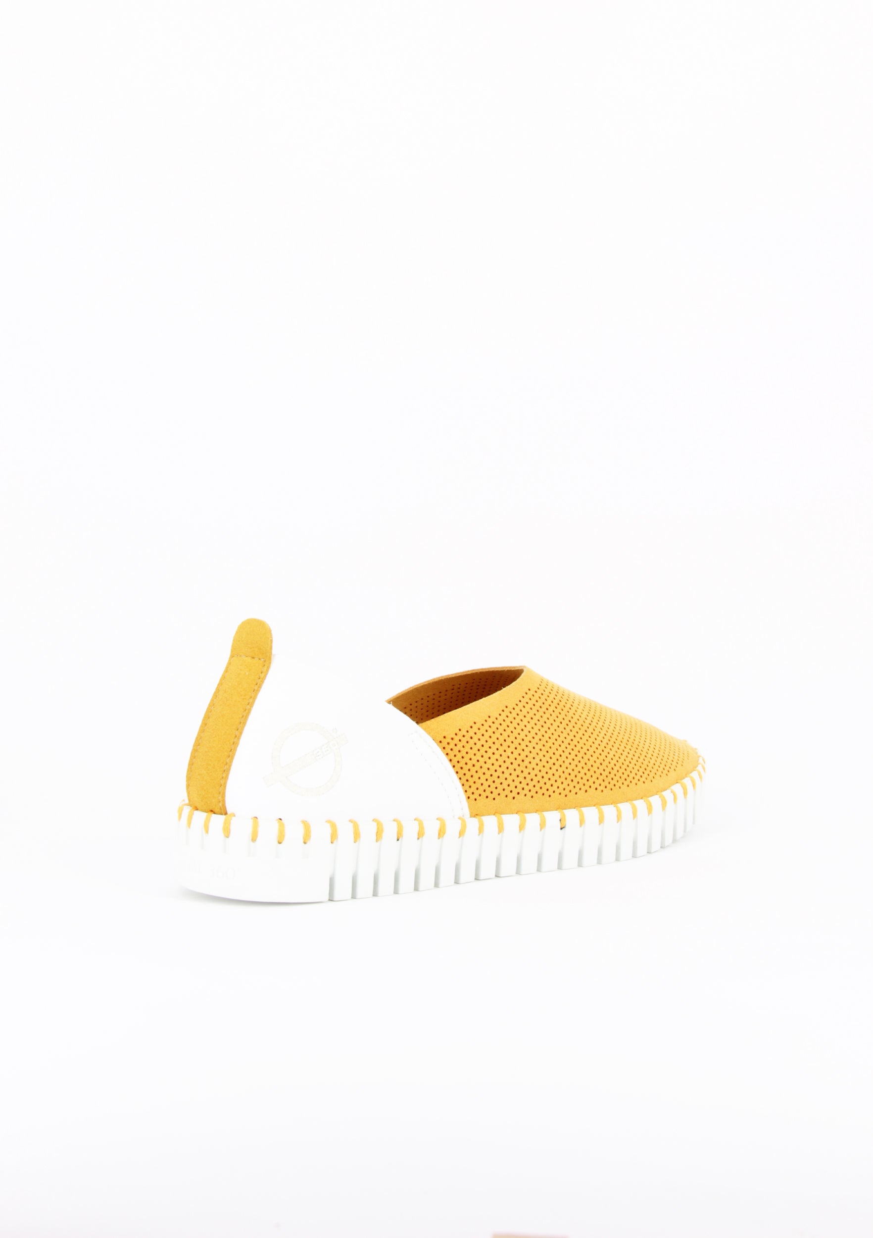 OTILLIA GIALLO-BIANCO