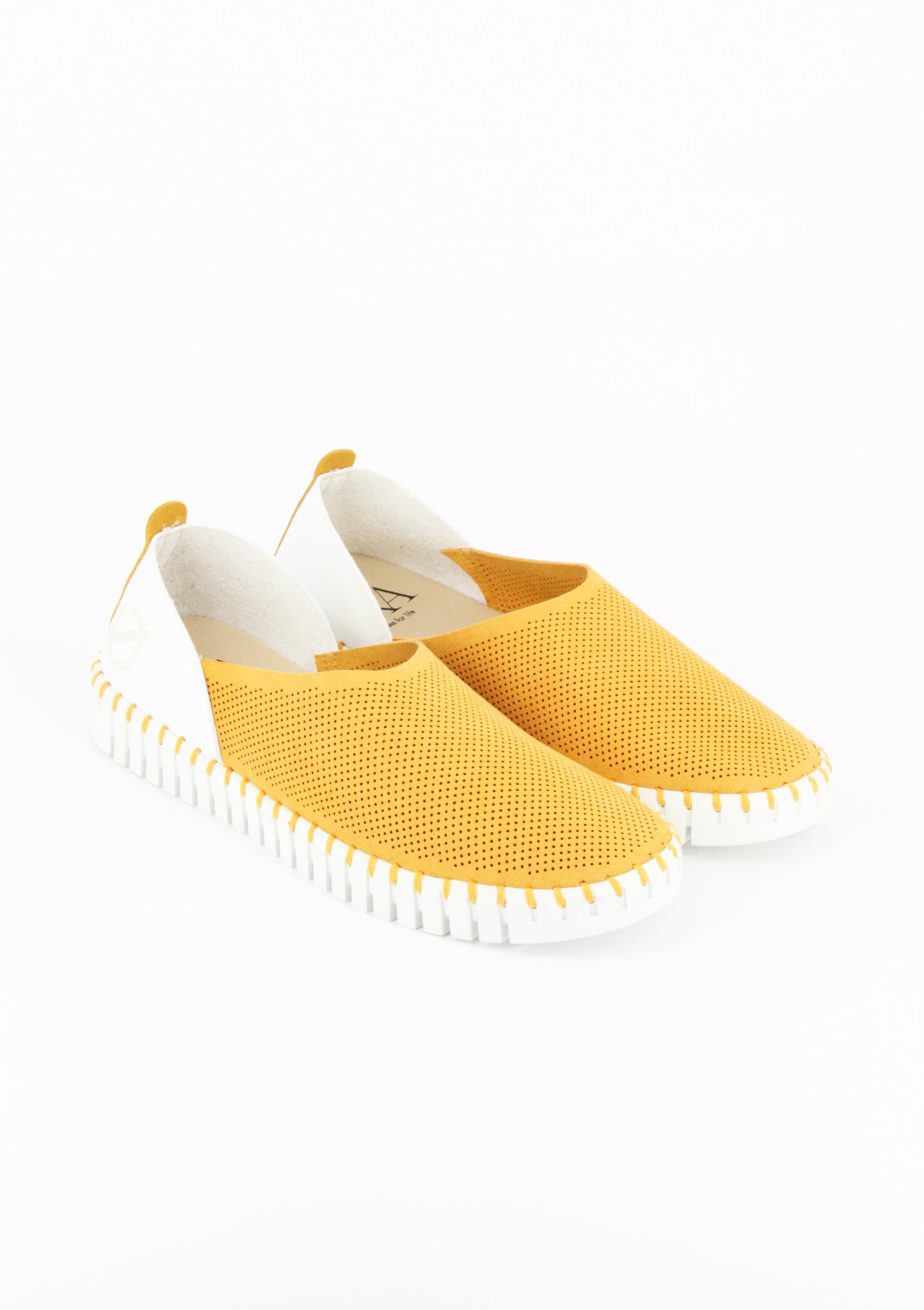OTILLIA GIALLO-BIANCO