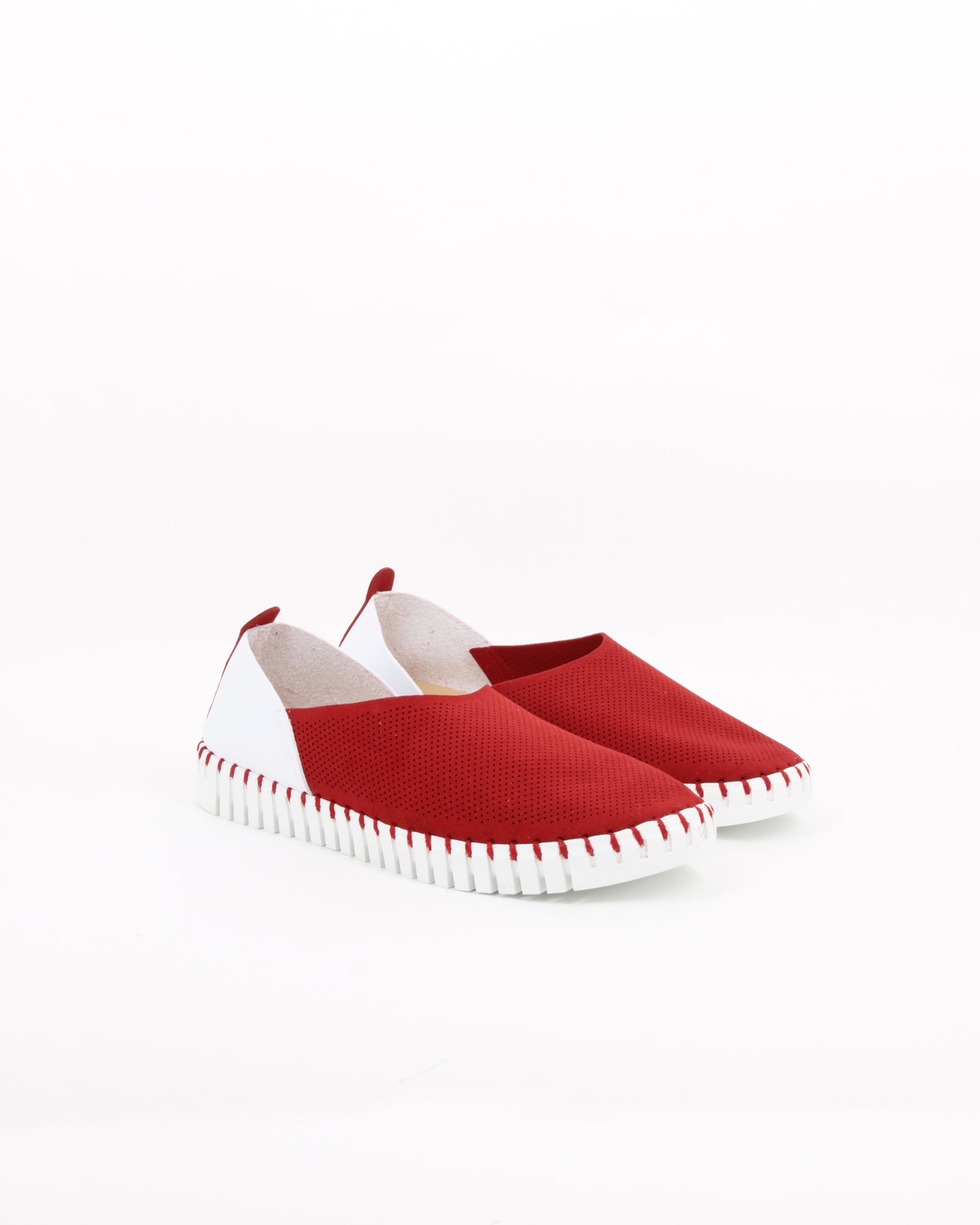 OTILLIA ROSSO-BIANCO