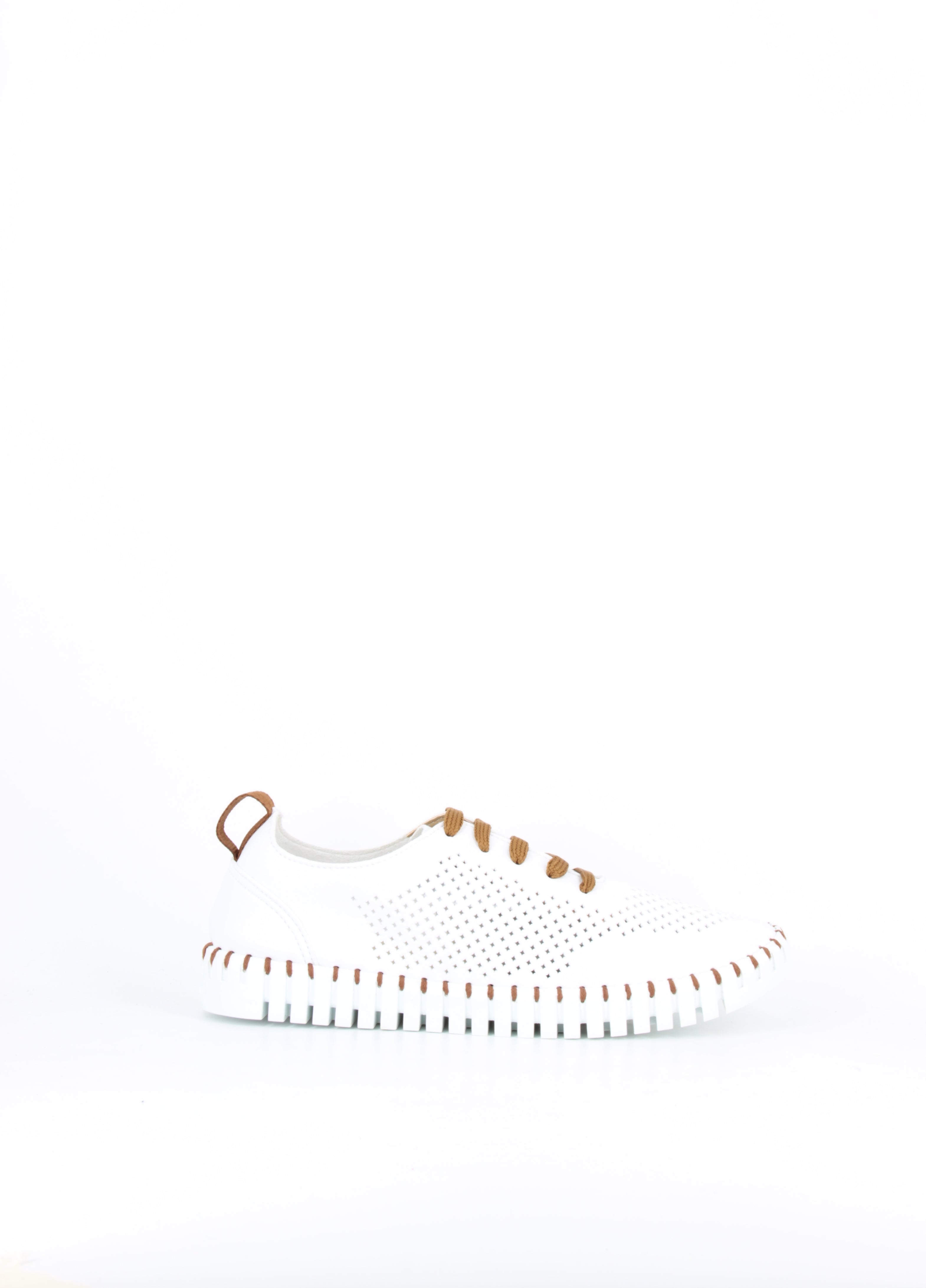 PEGGY BIANCO-CUOIO