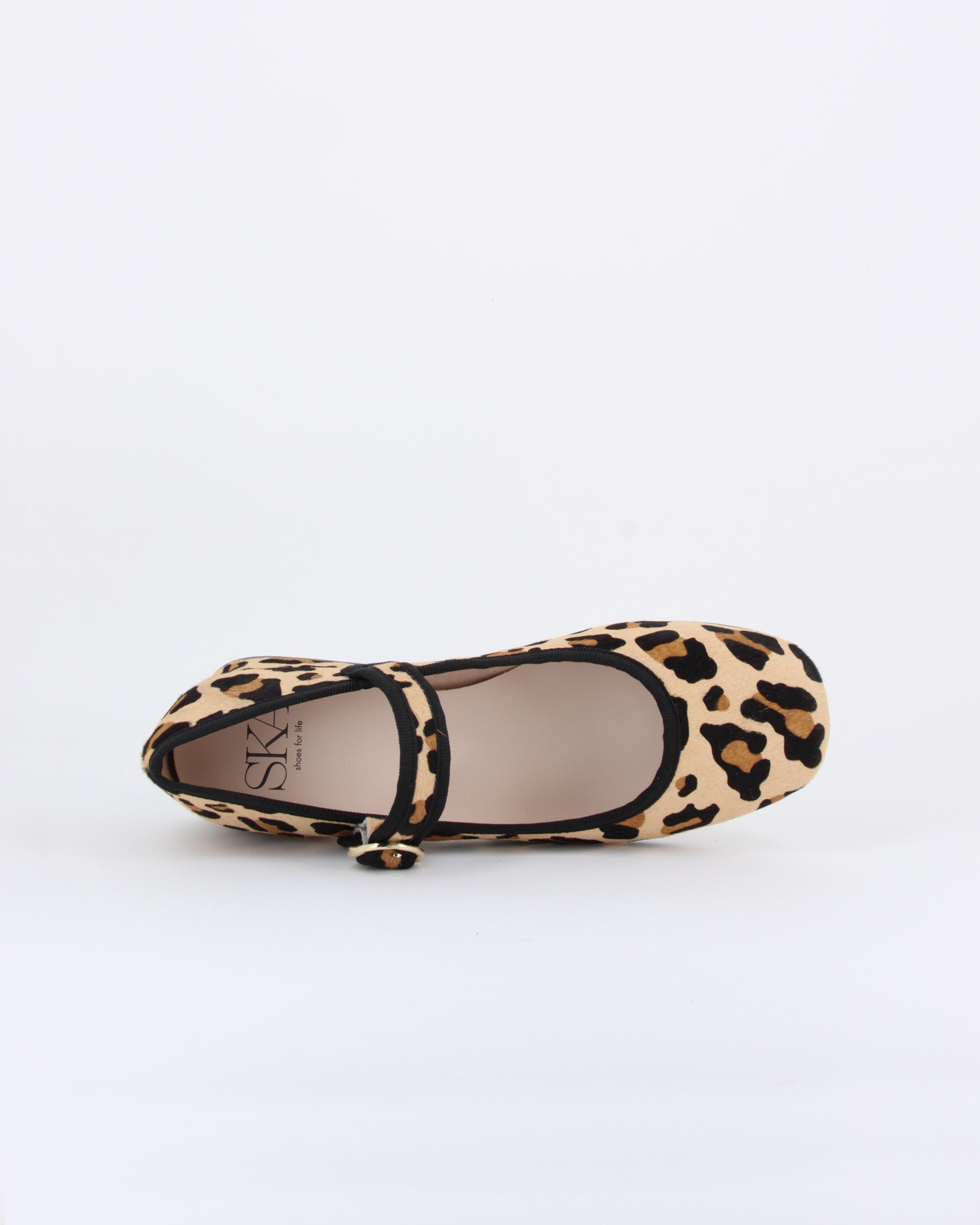VIOLIN LEOPARDO